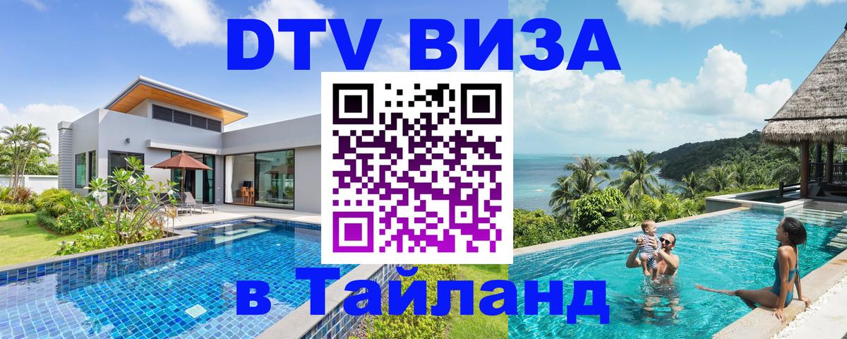 Оформление DTV визы под ключ: стоимость и тарифы, только загранпаспорт - 